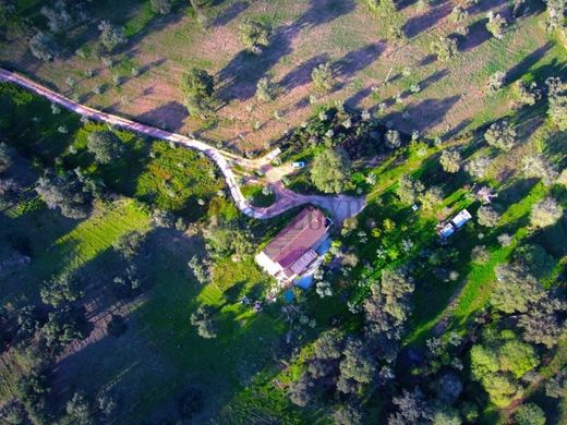 Fattoria a Arronches, Distrito de Portalegre