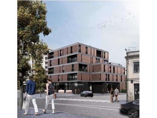 Daire Aveiro, Distrito de Aveiro