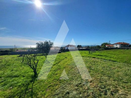 Arsa Viana do Castelo, Distrito de Viana do Castelo