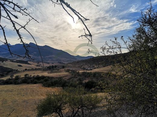 Terreno a Ronda, Málaga