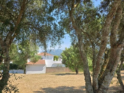 ‏בית חד-משפחתי ב  Sintra, Distrito de Lisboa