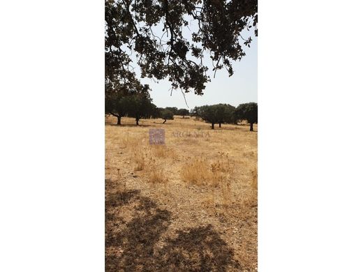 Mérida, バダホスのカントリー風またはファームハウス