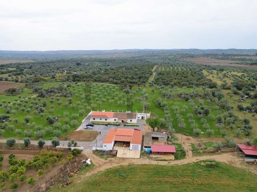 Πολυτελή κατοικία σε Reguengos de Monsaraz, Distrito de Évora