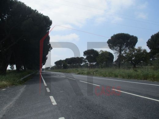 ‏קרקע ב  Montijo, Distrito de Setúbal