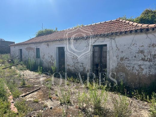 토지 / Sintra, Distrito de Lisboa