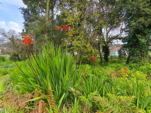 Land in Mafra, Lisbon