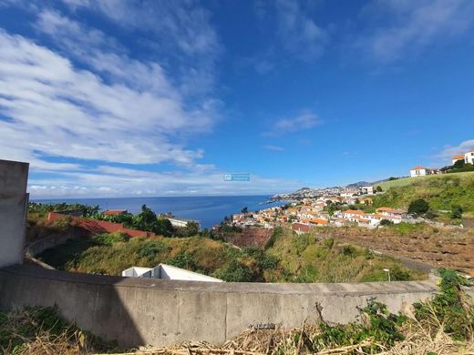 토지 / Funchal, Madeira