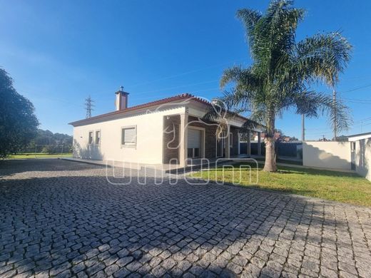 Luxus-Haus in Viana do Castelo, Distrito de Viana do Castelo