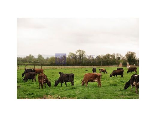 Rural ou fazenda - Cañaveral, Provincia de Cáceres