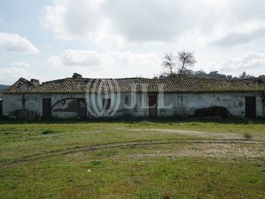 Finca en Almeirim, Santarém