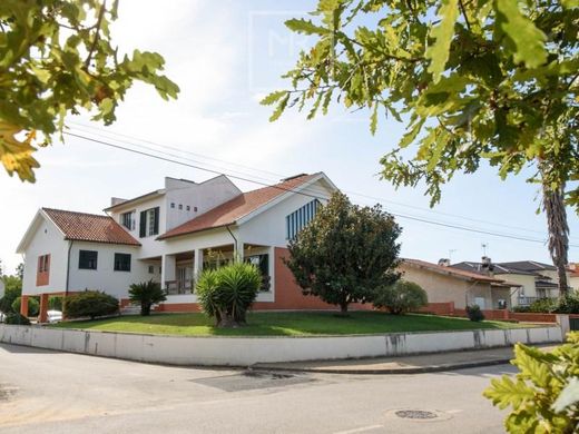 Luxus-Haus in Anadia, Distrito de Aveiro