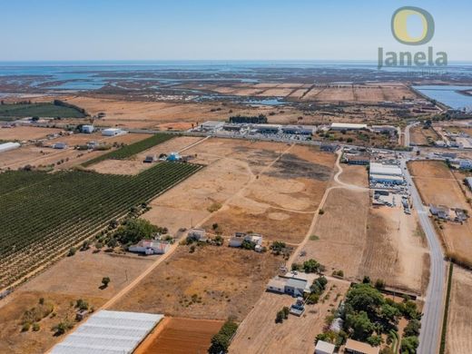 Luxury home in Faro, Distrito de Faro