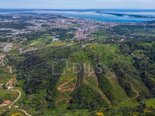 Grond in Palmela, Distrito de Setúbal