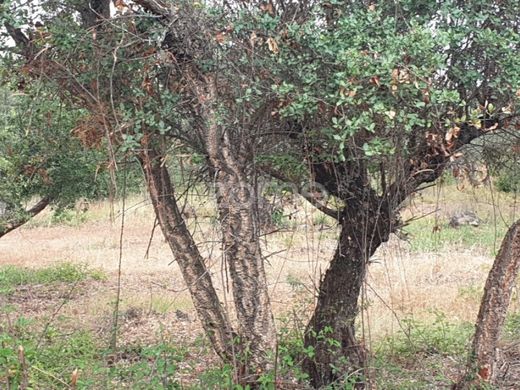Land in Borba, Distrito de Évora