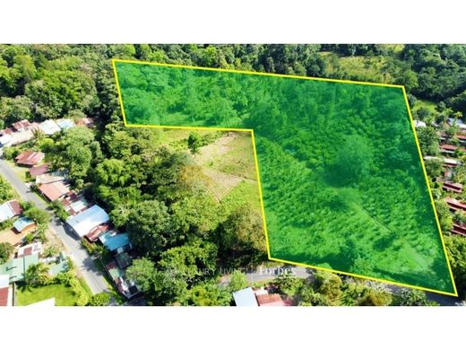 Quesada, San Carlosの土地