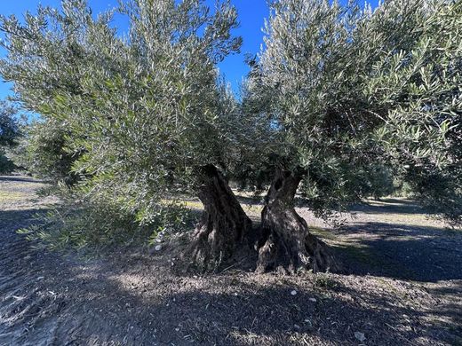 别墅  Jaén, Provincia de Jaén