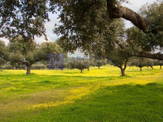 Усадьба / Сельский дом, Мерида, Provincia de Badajoz