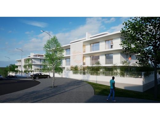 Land in Mafra, Lisbon