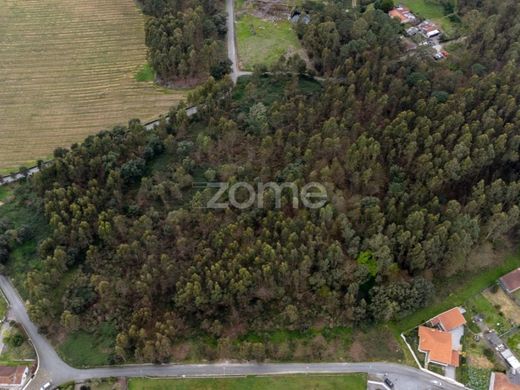 ‏קרקע ב  Santo Tirso, Distrito do Porto