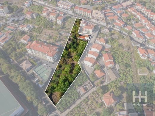 토지 / Funchal, Madeira