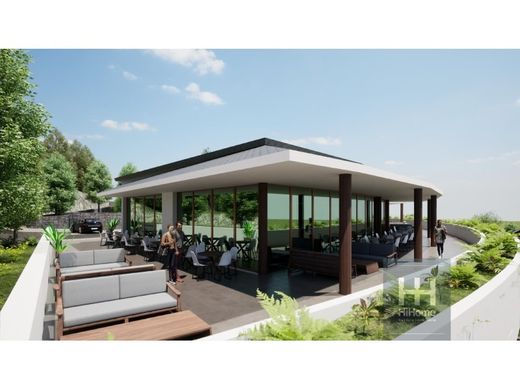 Terrain à Calheta, Madère