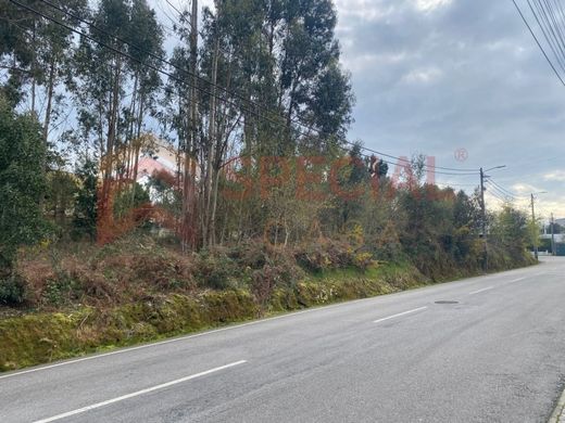 Land in Santa Maria da Feira, Aveiro