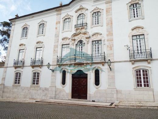 Palace in Souzel, Sousel