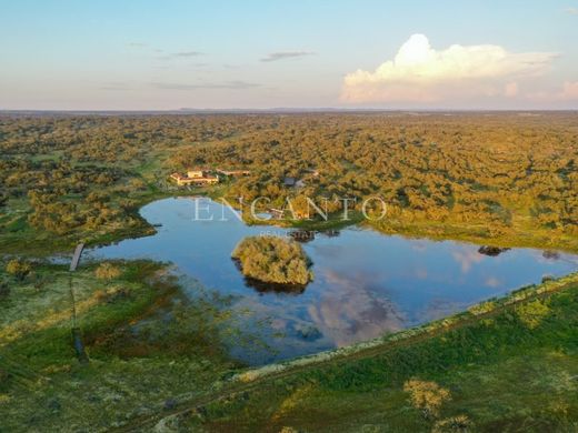 Boerderij in Mora, Distrito de Évora