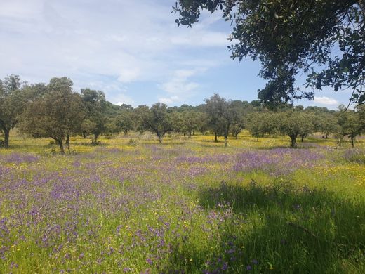 Villa in Cáceres, Provincia de Cáceres