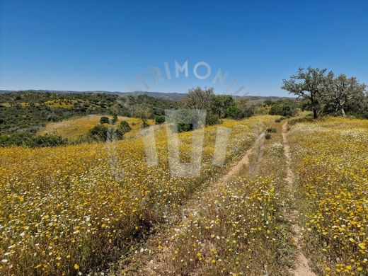 农场  Almodôvar, Distrito de Beja