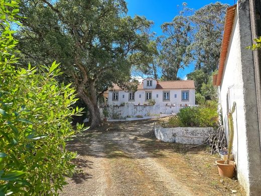 ‏בתים כפריים או חוות ב  Mafra, Distrito de Lisboa