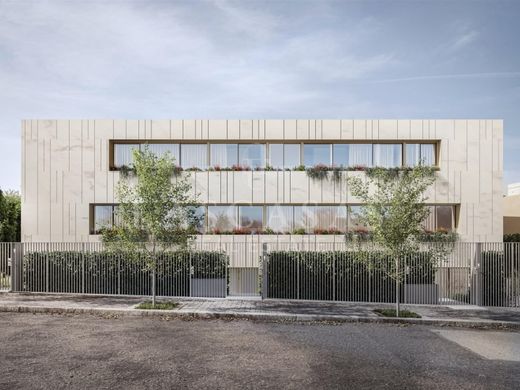 Daire Porto, Distrito do Porto