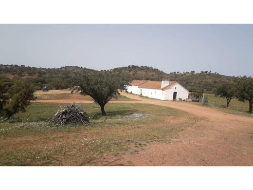 Portel, Distrito de Évoraの農園