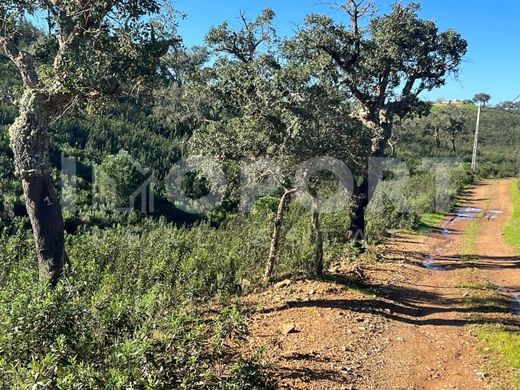 أرض ﻓﻲ Santiago do Cacém, Distrito de Setúbal