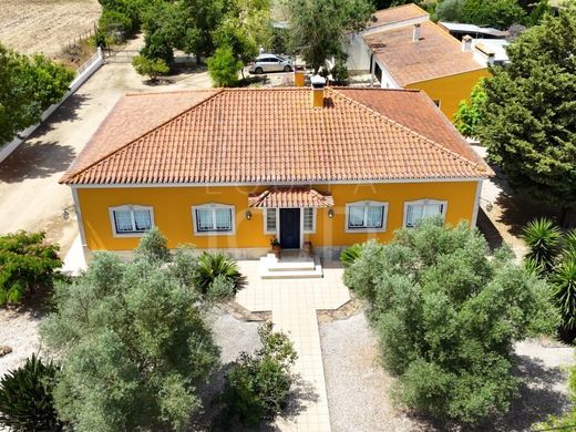 Πολυτελή κατοικία σε Almeirim, Santarém