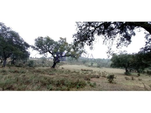 Luxe woning in Navalmoral de la Mata, Provincia de Cáceres