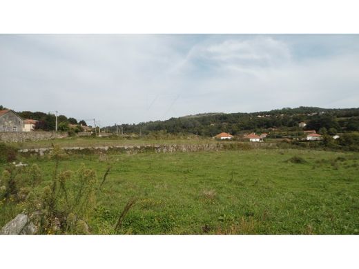 Paredes de Coura, Distrito de Viana do Casteloの土地