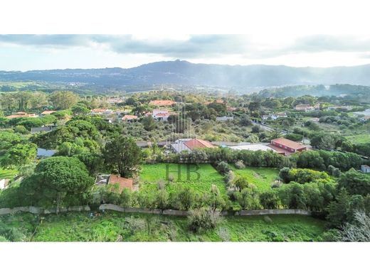 ‏קרקע ב  Sintra, Distrito de Lisboa