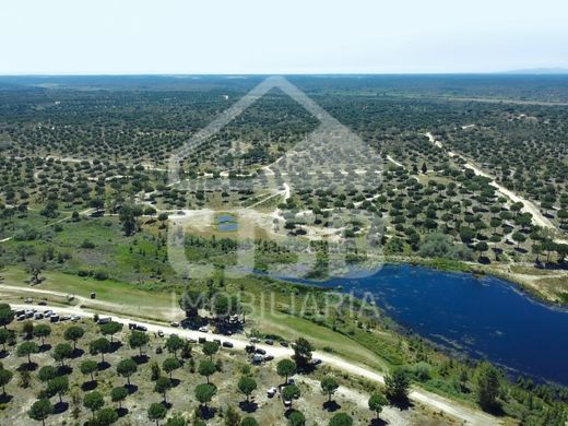 地皮  Benavente, Distrito de Santarém