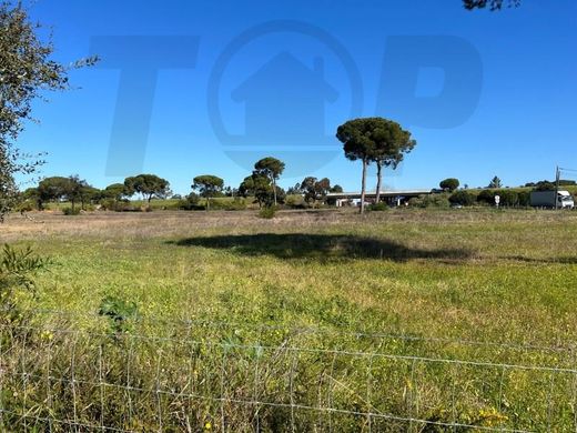 Terrain à Benavente, Distrito de Santarém