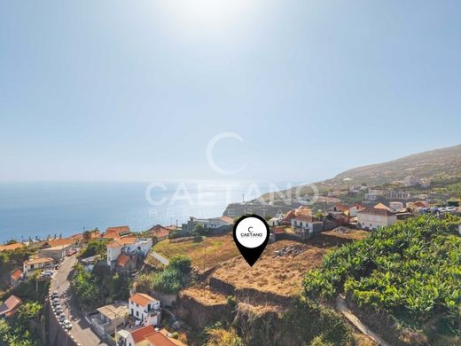 Calheta, Madeiraの土地