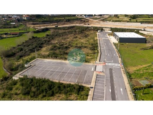 Arsa Braga, Distrito de Braga