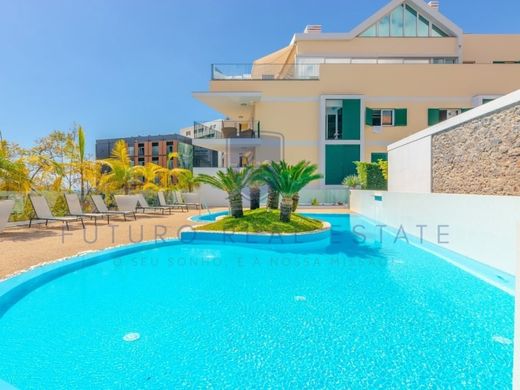 Apartamento - Funchal, Madeira