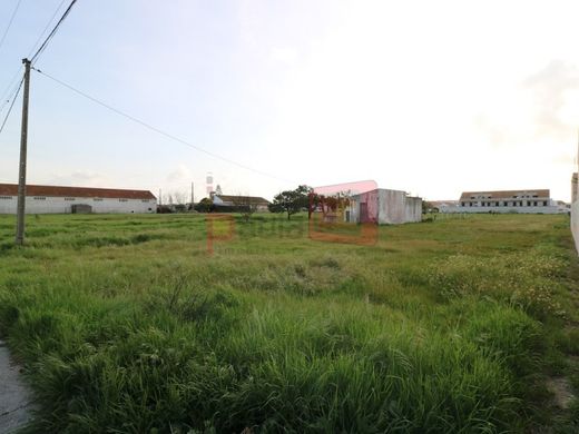 Land in Alcochete, Distrito de Setúbal