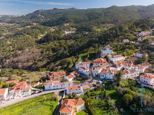 호화 저택 / Sintra, Distrito de Lisboa