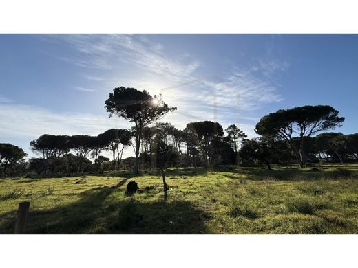 Land in Sesimbra, Distrito de Setúbal