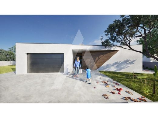 호화 저택 / Viseu, Distrito de Viseu