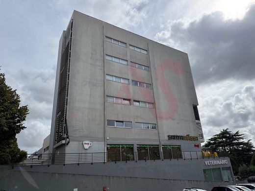 Valongo, Distrito do Portoのオフィス