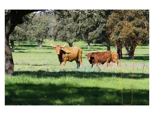 Finca en Redondo, Évora