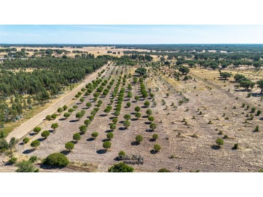 Terreno en Grândola, Setúbal